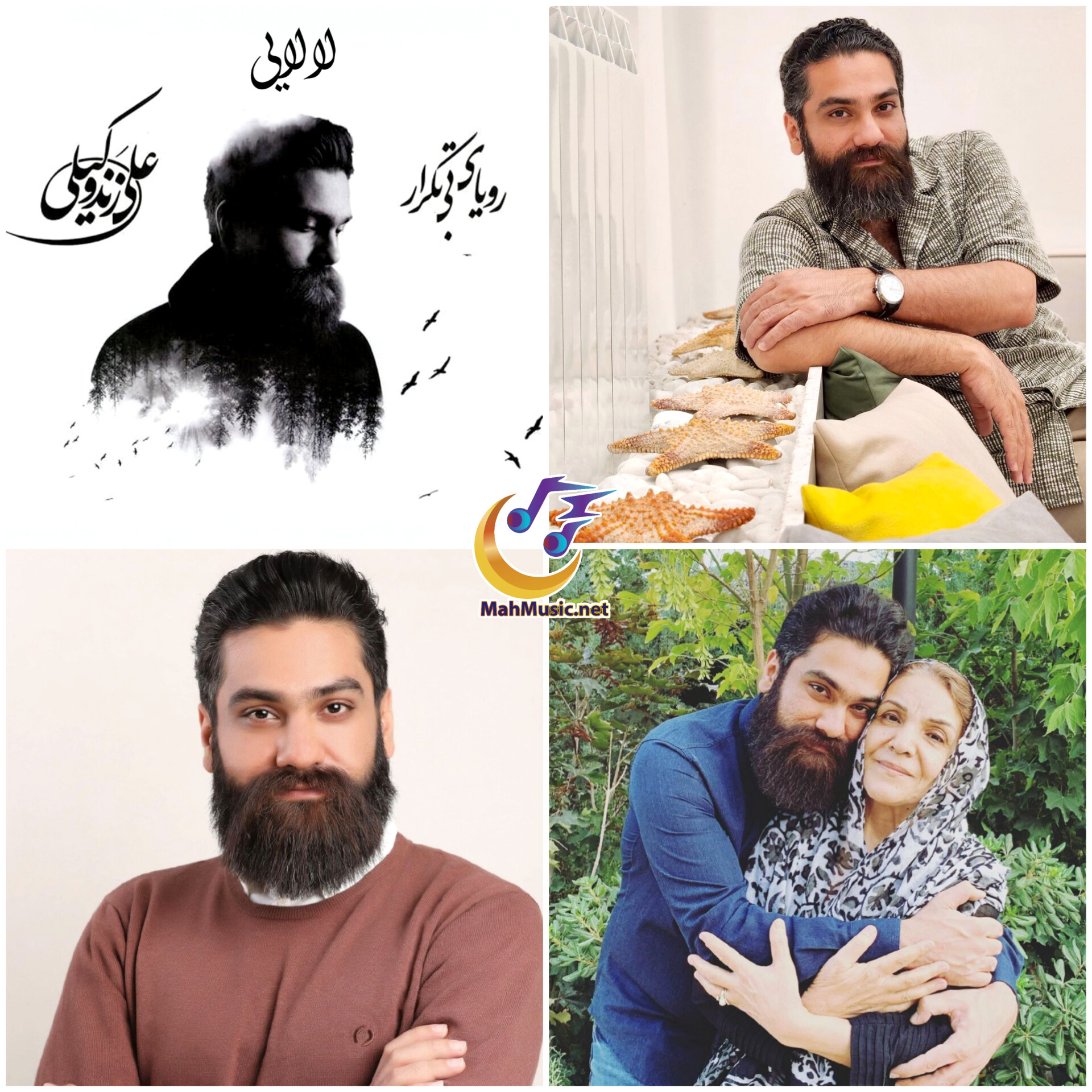 بیوگرافی و آهنگ های علی زند وکیلی