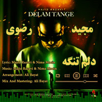 دلم تنگه مجید رضوی