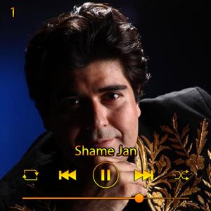 دانلود آهنگ شمع جان (آلبوم دستان انسمبل)01 از سالار عقیلی