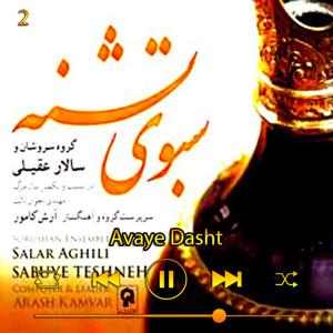 دانلود آهنگ آوای دشت (آلبوم سبوی تشنه)  02 از سالار عقیلی