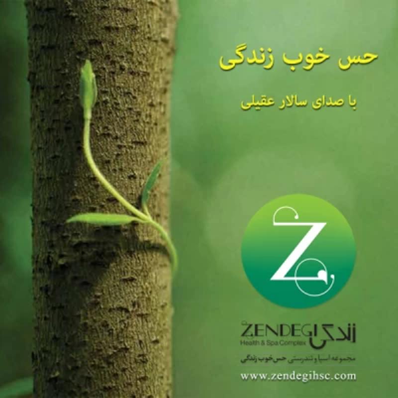 حس خوب زندگی سالار عقیلی